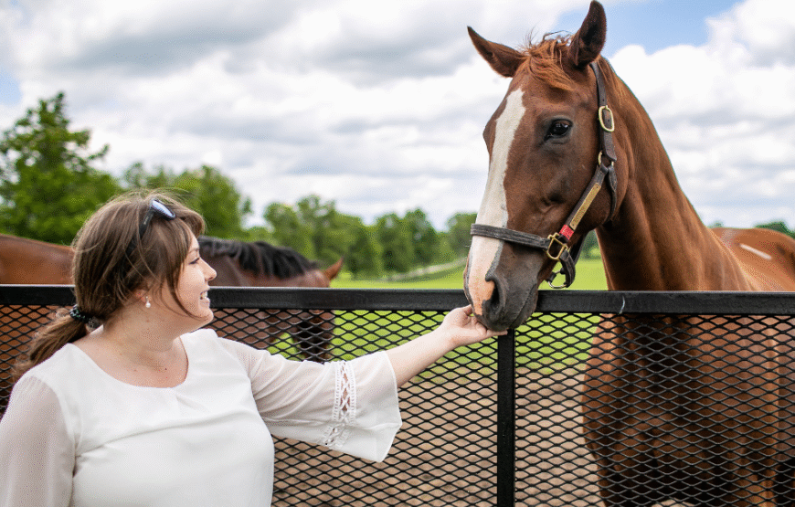 How Climate Affects Racehorse Health