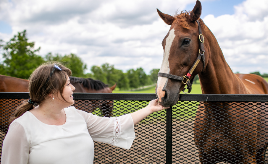 How Climate Affects Racehorse Health