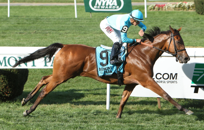 How Conformation Affects Racing Movement