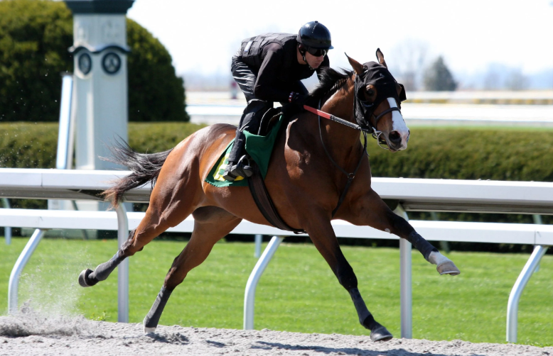 How Countries Celebrate Horse Racing