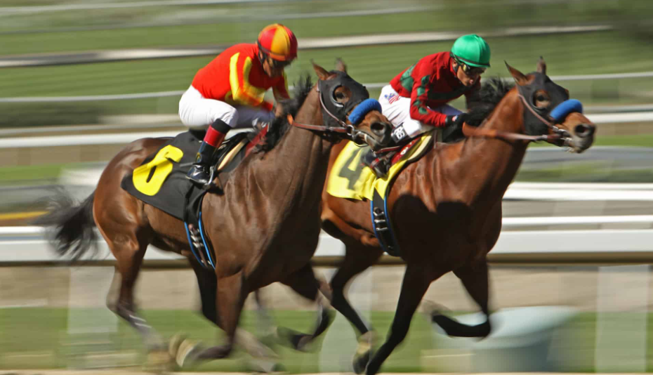 How Breeding Farms Operate